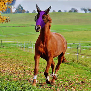 Voile anti-mouches pour cheval en polyester noir de luxe, personnalisable, pour l'extérieur, avec protège-oreilles - Product Image 2