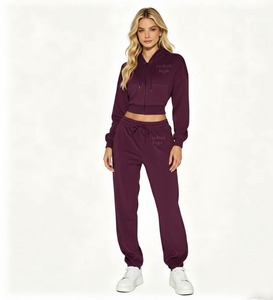 Winter Custom Diamond Two-Piece Velvet Ladies Hoodie and Jogger <b>Tracksuit</b> Set with Trendy Rhinestone 100% Cotton - Product Image 5