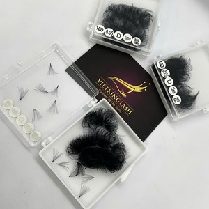 Eyelash <b>Cluster</b> Extensions Fluffy Handmade Synthetic Hair High Quality 10D/14D/16D/20D Natural Look Black Matte Pointy Base - Product Image 1