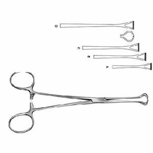 Pinzas de tejido Allis de precisión para sujeción y agarre de tejidos, uso quirúrgico profesional con marca privada - Product Image 3