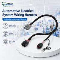 Faisceau de câblage personnalisé Plug and Play avec gaine tressée pour module de commande de mise à niveau de véhicule