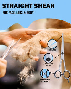 Pet Grooming <b>Scissors</b> Set <b>Dog</b> Hair Cutting Tools With Case Professional <b>Dog</b> Grooming <b>Scissors</b> With Comfortable Grip Handle - Product Image 3