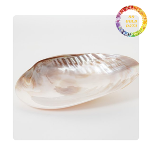 Handmade Mother of Pearl Plate Polished Shell Plate for Luxury Home Decoration and Gift - Product Image 4