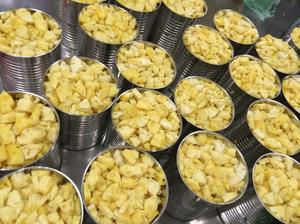 Best Price Small Can Pineapple Ananas Pizza Cut 1/12 1/16 Slice Consistent Quality for Global Restaurant Chains & Food Service - Product Image 5