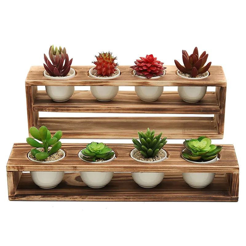 Rustic Burnt Wood Tiered Succulent Planter Stand with 8 Mini White Ceramic Plant Pots Set of 2 Indoor Plant Shelter Rack for Pot