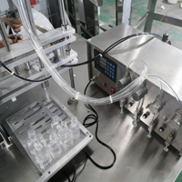 Mini machine de remplissage de bouteilles d'eau pure et purifiée en PET pour boissons minérales