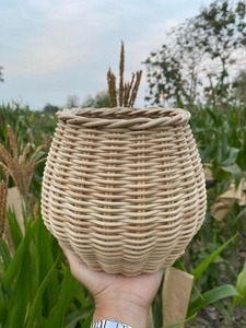 Maceta Artesanal de Mimbre y Ratán, Ideal para Exhibir Plantas y Decoración Natural del Hogar, Jardinería Interior, Hecha en India - Product Image 1
