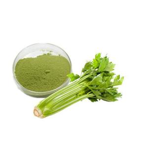 WHOLESALE NATURAL CELERY VEGETABLE POWDER FOR COSMETICS / SKIN CARE ANTI-AGING CELERY EXTRATC POWDER - Product Image 2