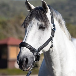 Licol de polo traditionnel argentin de haute qualité, cousu main en nylon/cuir, avec fil ciré et quincaillerie en laiton robuste réglable - Product Image 6