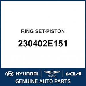 Pistons et segments neufs Sonata 230402E151 - Product Image 1