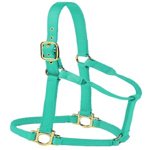 Premium Quality OEM ODM Nylon Horse <b>Halter</b> Adjustable Brass Hardware Durable Equestrian Soft Padded Nylon <b>Halter</b> Horse - Product Image 5