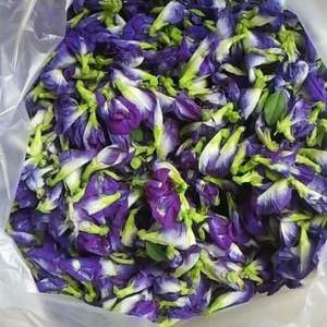 SELECCIÓN POPULAR 2026 Flor de Guisante Mariposa Seca, Ingrediente de Té Azul para Batidos y Decoración de Repostería - Product Image 2