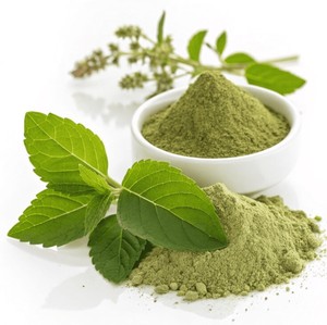 Poudre d'herbes Ocimum Sanctum Tulsi pour le bien-être ayurvédique traditionnel, soins naturels à base de plantes et soutien quotidien à la santé - Product Image 4