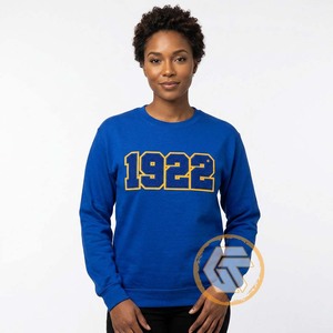 Sweat-shirt décontracté en molleton de coton 500g, personnalisé, de haute qualité, motif Trésors Grecs, pour femme, collection Automne/Hiver, Sigma Gamma Rho, écologique, couleur unie - Product Image 4