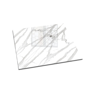 Baldosas de porcelana sólida de calidad superior de 600X600MM, embalaje digno de exportación de India gris brillante bellamente diseñado - Product Image 1