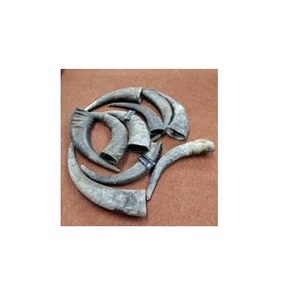 Punta de Cuerno Natural de Búfalo, Ecológica, Imitación Antigua, Impermeable, Forma Natural, Color Negro Natural, para Arte de Tamaño Personalizado - Product Image 5