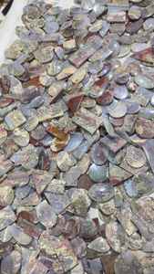 พลอยมอสอาเกตธรรมชาติทรงหลังเบี้ยแบบเรียบ ขนาดคละไซส์ สำหรับทำเครื่องประดับ ขายส่งพลอยทับทิม - Product Image 3