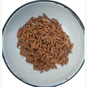 Noix de pin bio en vrac, pas cher, non décortiquées - Product Image 3