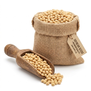 Semillas de Soja Premium, Producto Agrícola Natural para Agricultura Comercial y Exportación a Granel, Suministro al por Mayor - Product Image 5