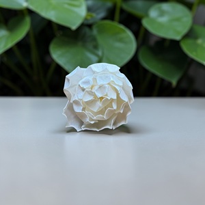 VADEE Craft Fleurs artisanales durables en bois de Sola, couleur crème vintage, taille 8,5 cm, avec tige en fibre de plantes de Sesbania Phra - Product Image 2