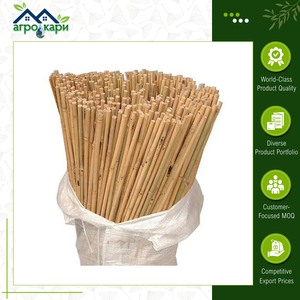 Pôles en bambou de bonne qualité et durables, bambou naturel de Tonkin, piquets de 150 cm pour tomates, légumes et plantes grimpantes - Product Image 3