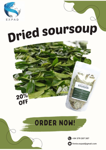 Fermented Dried Soursop Leaves Herbal Tea Loose Leaf Natural Graviola Guanabana Health Tea Premium Quality - Product Image 4