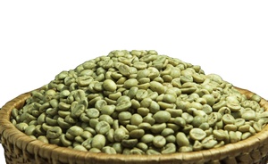 Granos de Café Verde 100% Robusta S18 Vietnamita DHPONE Orgánico Grado AA Color Natural Sabor Neutro Sin Alérgenos 12 Meses de Duración - Product Image 3