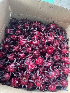โรเซลแห้งคุณภาพสูง (Hibiscus sabdariffa): ส่วนผสมชาสมุนไพรต้นกำเนิดจากเวียดนาม/คุณลิมา - Product Image 5