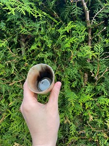Taza Hecha a Mano de Cuerno de Búfalo |   Jarra Vikinga Natural de Cuerno de Buey para Cerveza, Vino y Sidra |   Jarra Medieval Hecha a Mano para Regalo de Bar - Product Image 6