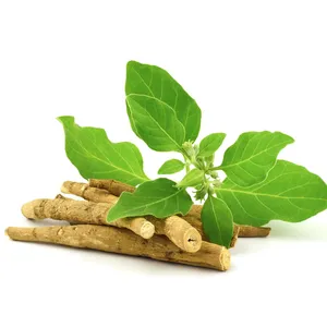 Bulk Ashwagandha Root <b>Extract</b> Pure Herbal Adaptogen (Withania Somnifera) <b>Extract</b> for Nutraceutical & Supplement Manufacturing - Product Image 2