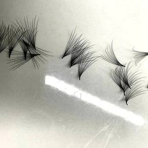 Camellia - Extensiones de Pestañas de Alta Calidad al por Mayor, Premade Fans, Bandejas de Pestañas, Volumen 10D 14D 16D, Base Delgada, Efecto Fluffy - Product Image 1