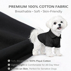 Camiseta para Perro con Estampado Personalizado, Ropa de Moda para Mascotas, Proveedor Mayorista, Chaleco Suave para Gato, Ropa Básica Cómoda para Cachorros al por Mayor - Product Image 3