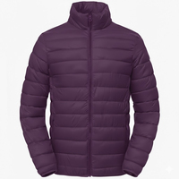 Veste coupe-vent d'hiver pour homme, design personnalisé OEM 2025, 100% polyester, col montant, logo sur le devant, rembourrage standard, chaude et décontractée