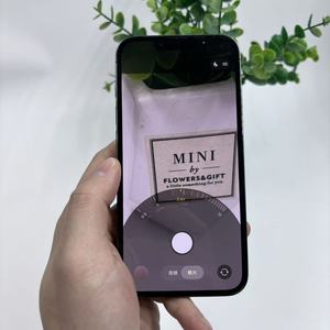 Smartphone Usati all'Ingrosso, Versione USA, Vendita Calda, Alta Qualità, Originali 5G, <span class=keywords><strong>iPhone</strong></span> <span class=keywords><strong>13</strong></span> <span class=keywords><strong>Pro</strong></span> - Product Image 2