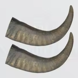 Juguete Masticable para Perros Hecho a Mano con Cuerno de Búfalo Natural, Impermeable, Seguro para Alimentos y Sostenible - Product Image 2