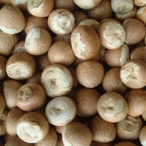 Achetez en ligne des noix de Batel fraîches, soigneusement sélectionnées, de qualité naturelle, riches en saveur, collation nutritive, parfaites pour un mode de vie sain - Product Image 3