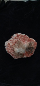 Lot de minéraux naturels de Scolecite rouge magnifique avec Stilbite – Collection de spécimens de cristaux de qualité supérieure pour exposition, décoration, guérison et coffret cadeau - Product Image 2