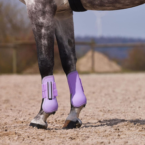 Nouvel Arrivage Support de Tendon Protecteur Personnalisable en Acier Inoxydable et Nylon pour Bridon de Cheval Haute Qualité 50x20x40cm SP-40337 - Product Image 6