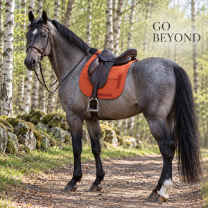 Almohadilla de Montura para Caballo Acolchada con Diseño de Diamantes, Forma Contorneada y Paneles |   Almohadilla de Montar a Caballo Acolchada con Correas de Seguridad Bound Edge - Product Image 4