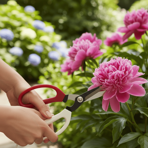 Ciseaux de jardin laser DIY de 7,25 pouces avec bord lisse pour la récolte des raisins - Product Image 1