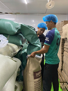 [BEST CHOICE 2025] เมล็ดกาแฟโรบัสต้าออร์แกนิก ซอนลา เวียดนาม 100% ธรรมชาติ คุณภาพสูง เกรดส่งออก สีเขียว 60 กก. ขายส่ง ราคาถูก - Product Image 6