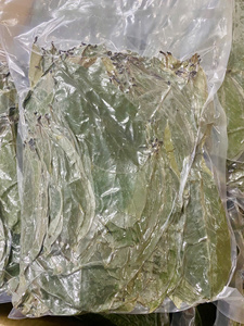 100% feuilles de corossol nature/feuilles de graviola/thé Guyabano/mme Lima - Product Image 5