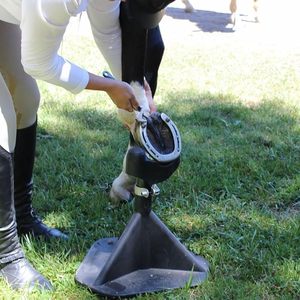 Adjustable Heavy Duty Horse Hoof Stand Metal Farrier Hoofjack with Cradle Post for Hoof Trimming, <b>Shoeing</b> Care CE ISO Certified - Product Image 2