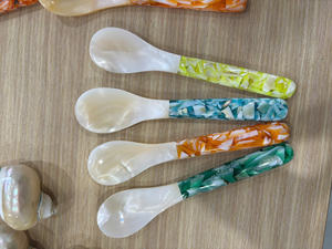 Cuillère en coquillage fabriquée à partir de coquillages naturels pour une utilisation décorative, présentation en magasin et exportation en gros - Product Image 4