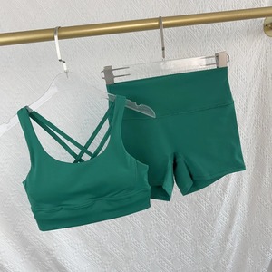 Conjunto de Yoga Premium sin Costuras para Mujer, Bra Deportivo Elástico y Leggings de Cintura Alta para Gimnasio - Product Image 3