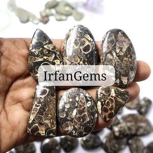 Cabujón de ágata Turritella pulido hecho a mano, piedra preciosa Natural de alta calidad en forma de corazón cuadrado para uso en joyería, piedras preciosas sueltas - Product Image 5