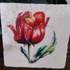 Sous-verres à fleurs de printemps, sous-verres rouges à motif floral, cadeau pour les amateurs de thé, de café et de gin - Product Image 1