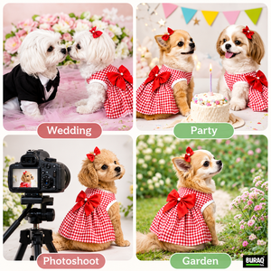 Vêtements pour chats et chiens OEM ODM avec logo personnalisé, vêtements pour animaux de compagnie tendance pour chats et chiens, fabricant direct - Product Image 6