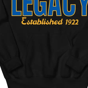 เสื้อฮู้ด SGR Legacy สีดำ พรีเมียม แบบสวมหัว ลายกราฟิกตัวอักษรกรีกแบบกำหนดเอง พร้อมดีไซน์สีทองและสีน้ำเงิน สำหรับชมรมนักศึกษา - Product Image 3