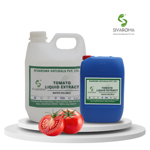 Premium Tomato Liquid Extract Water Soluble for <b>Large</b> Scale Manufacturing Cosmetic Applications Beverage Solutions and Worldwide - Product Image 1
